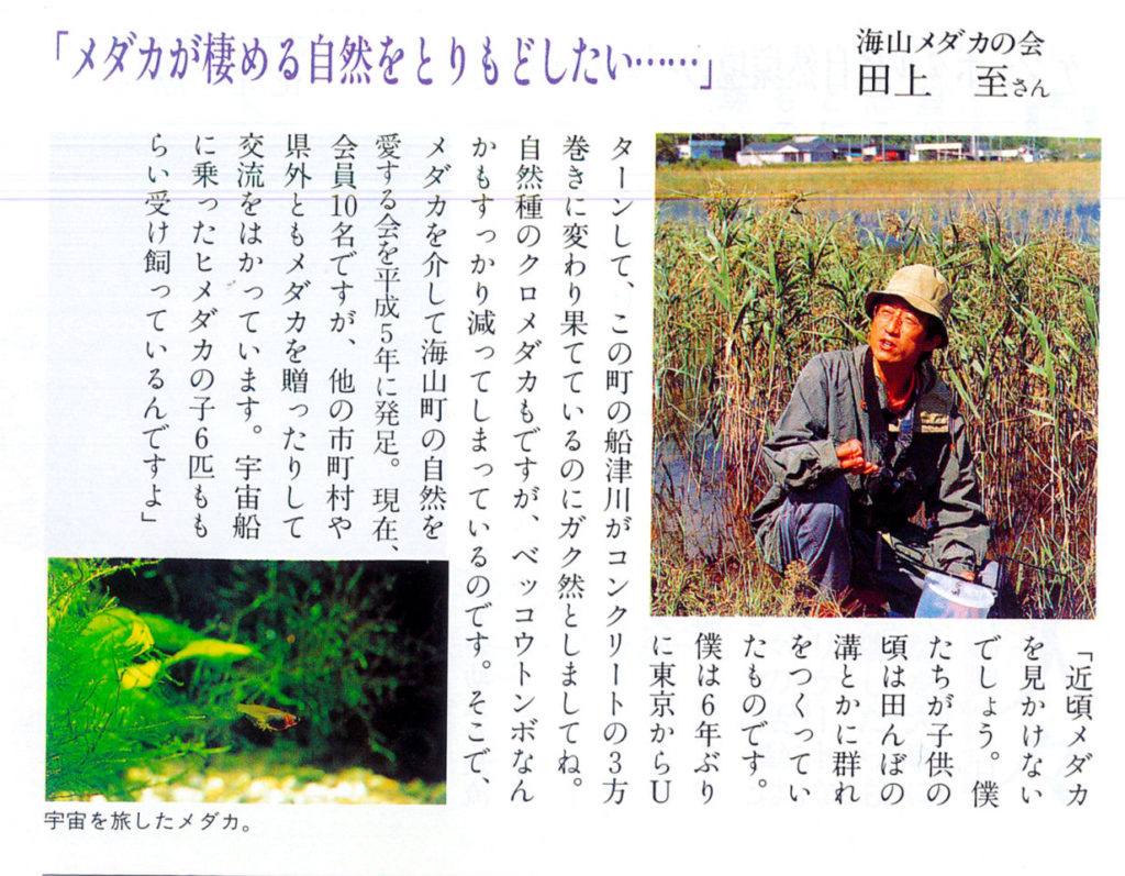 tauesan_kiji